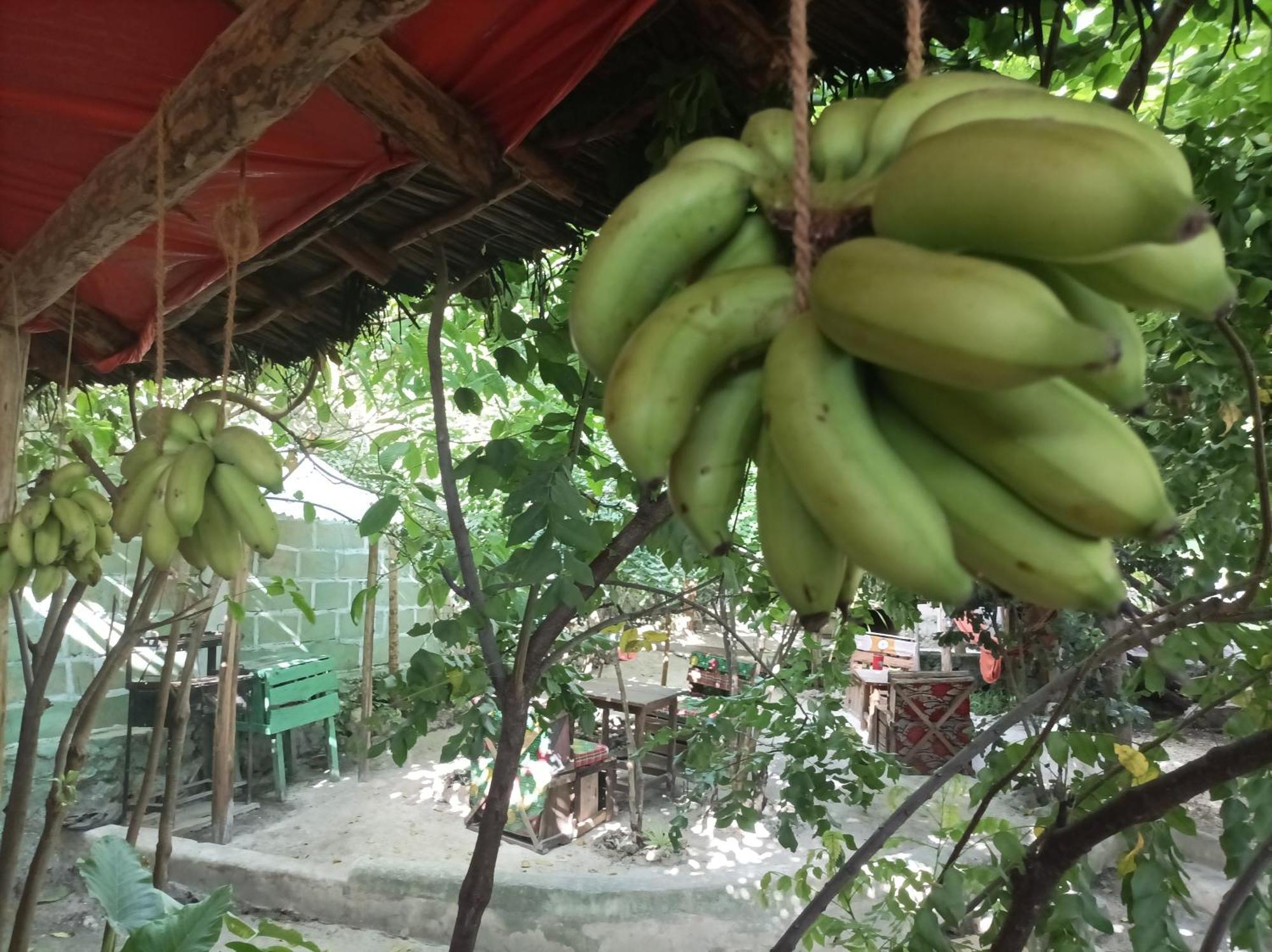 Bed and Breakfast Mamarasta Bwejuu Esterno foto